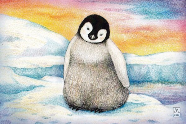 Пингвин гуашью