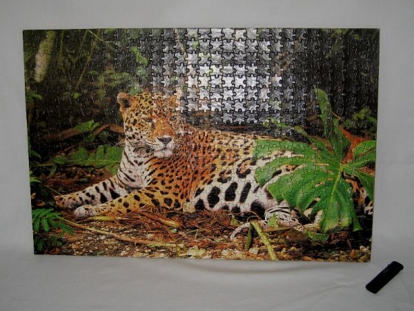 Собранный пазл