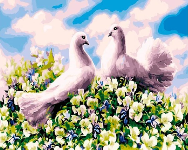 Раскраска по номерам голубь