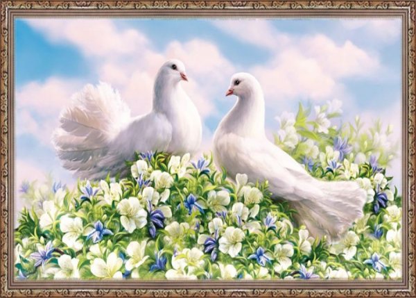 Голубки картина