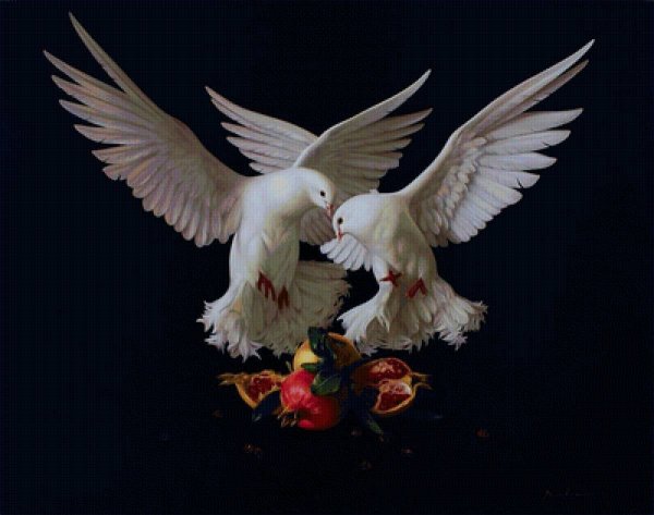 Белые голуби в цветах