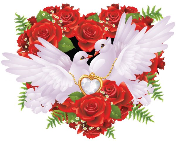 Свадебные голуби на прозрачном фоне