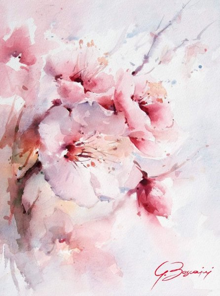 Нежные Акварельные цветы