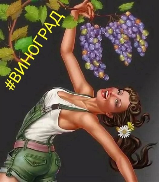 Анжелика Молдаванка