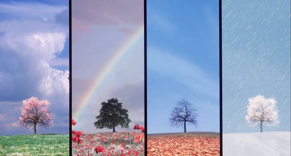 Пейзаж по временам года