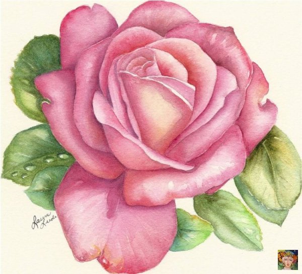 Нарисовать розу