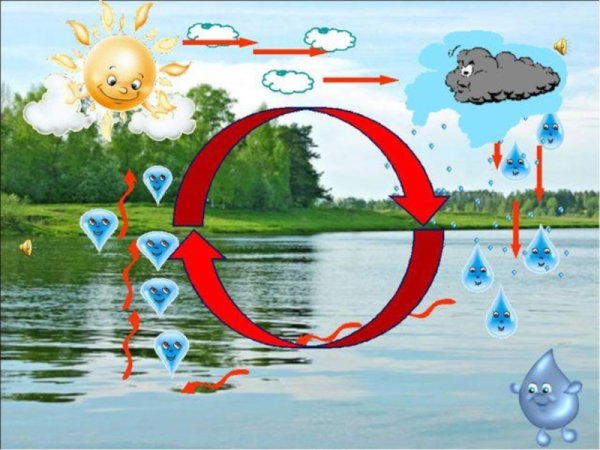 Круговорот воды в природе для детей дошкольников