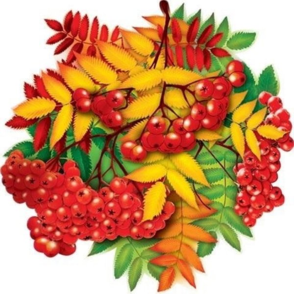 Открытки с рябиной осенью