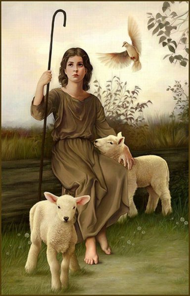 Девочка Овечка