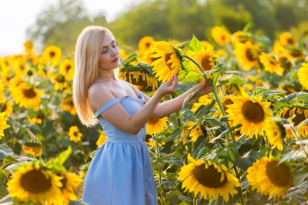 Девушка в подсолнухах