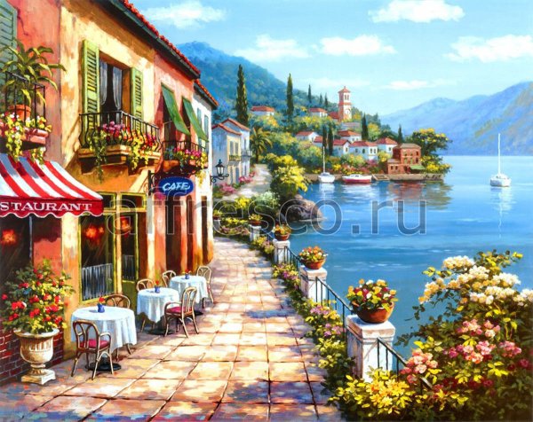 Сен Ким (Sung Kim )