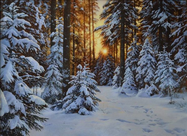 Сказочный зимний лес для детей