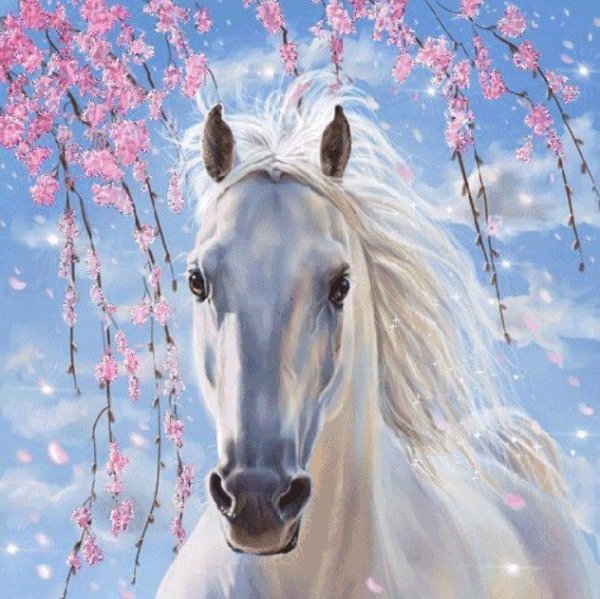 Картина по номерам белая лошадь