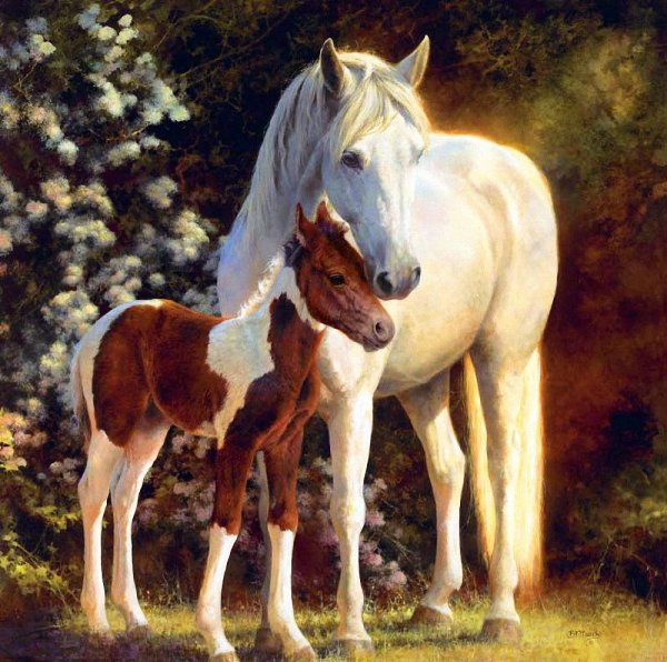 Художник .Бонни Маррис (Bonnie Marris)