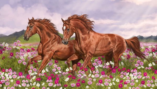 Лошади на лугу картины