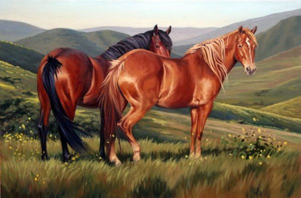 Картина кони пасутся