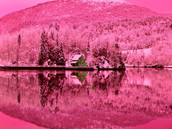 Природа в розовых тонах