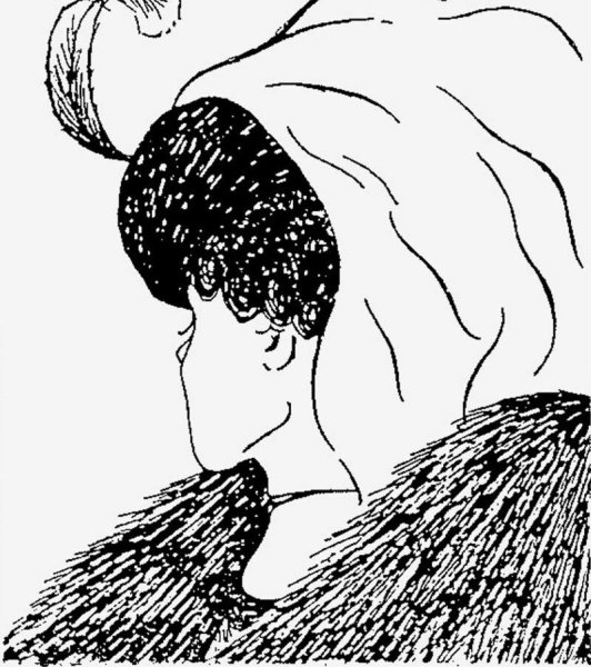 Девушка старуха иллюзия