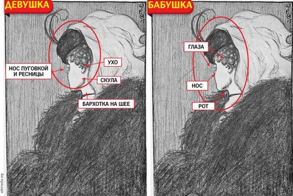 Кого видишь девушку или старуху