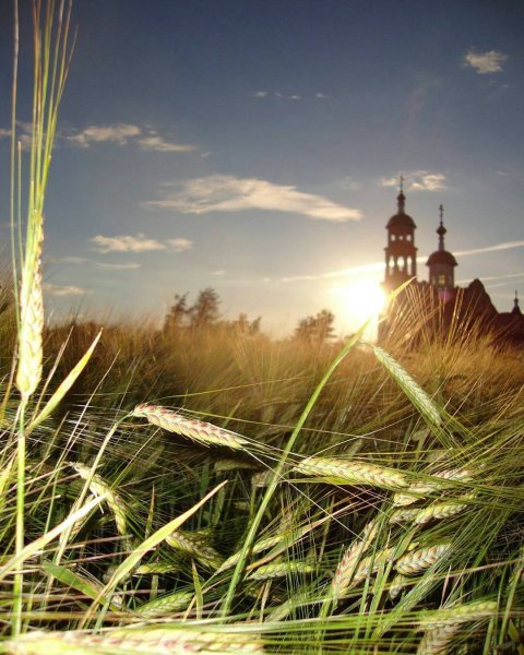 Сергей Брандт художник акварель