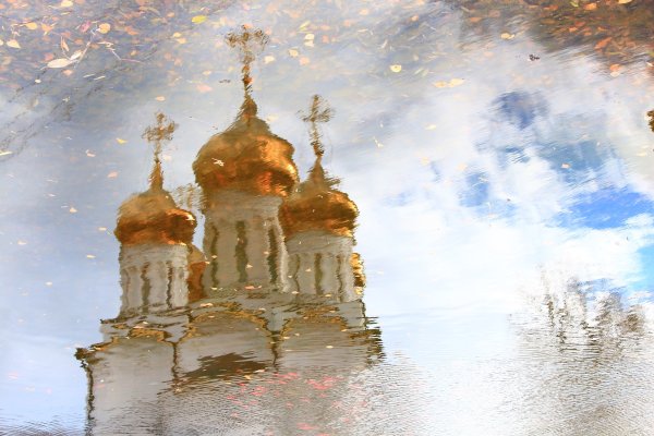 Марков Владимир Николаевич