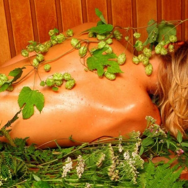 Про баню прикольные