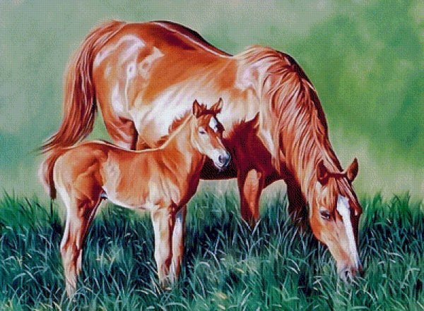 Художник Paul Krapf "Маре с жеребенком"