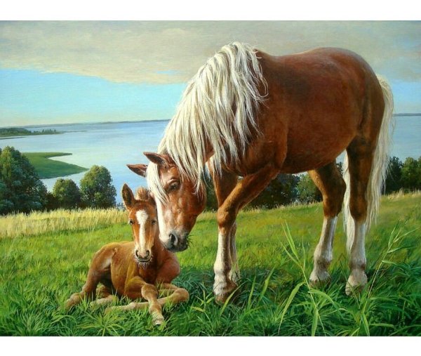 Лошкобанов Владислав художник