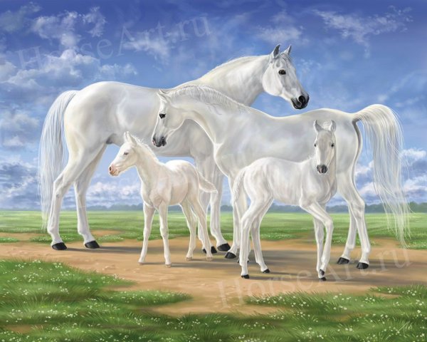 Семья лошадей