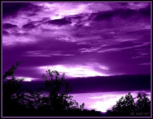 Фиолетовые картинки