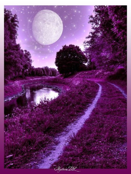 Красивый фиолетовый