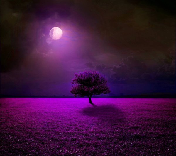 Фиолетовый свет