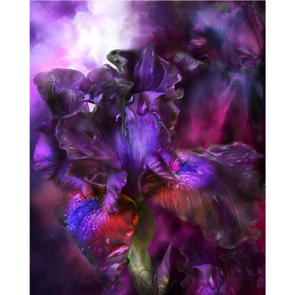 Ирисы картины Кэрол Каваларис