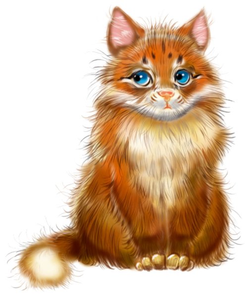 Кот пушистый рыжий