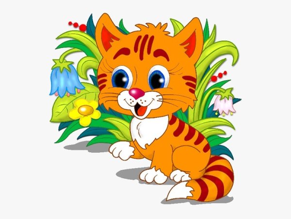 Детский сад для котят