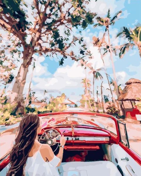 Картина в кабриолете