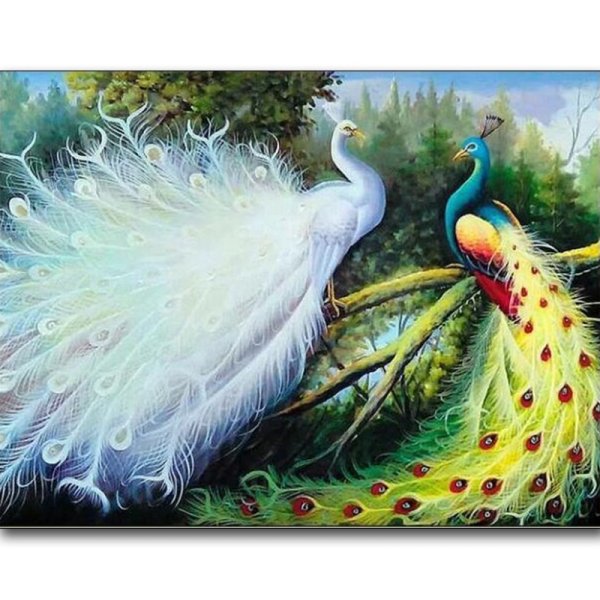 Павлин алмазная вышивка диамондс