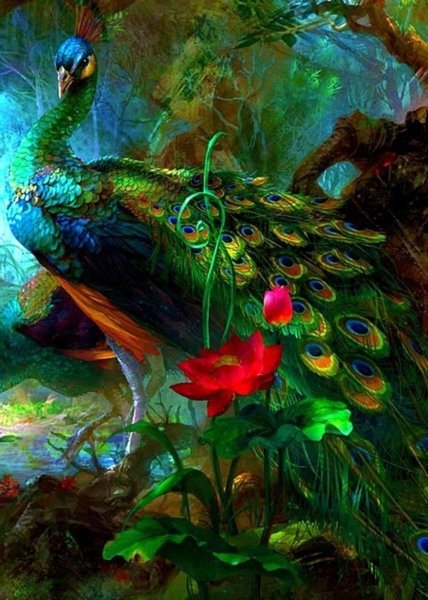 Волшебный лес Вриндавана Павлины