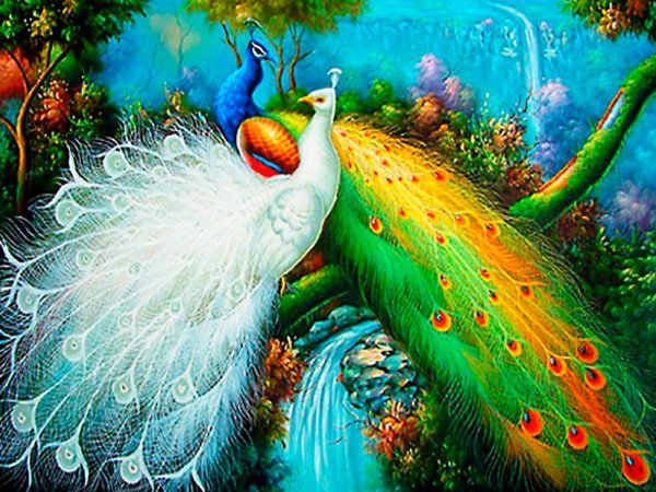 Картина Павлин