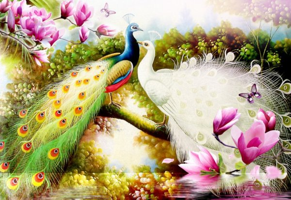 Влюбленные Павлины