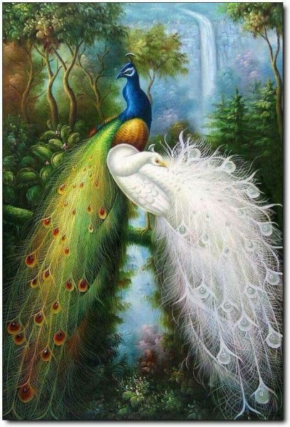 Сказочный Павлин