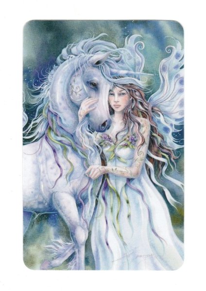 Воительница на единороге