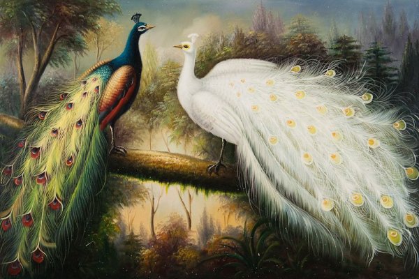 Картины павлинов