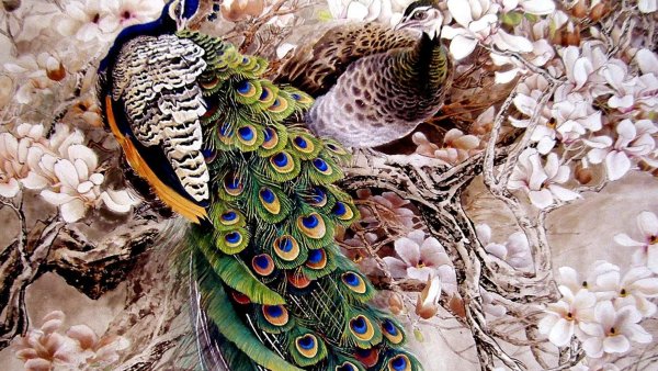 Павлин в японской живописи