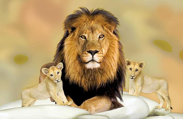 Лев и 2 львенка