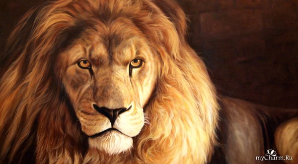 Бруно Августо картина Лев