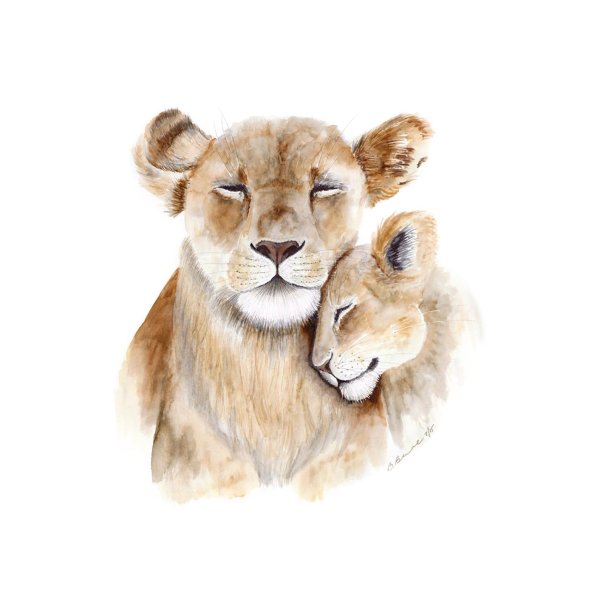 Лев львица и Львенок акварель
