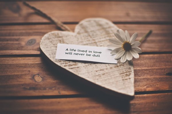 Картинки на рабочий стол жизнь