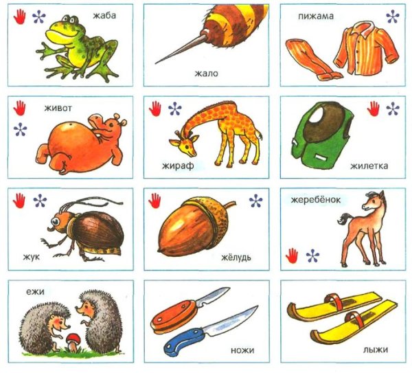 Слова со звуком ж