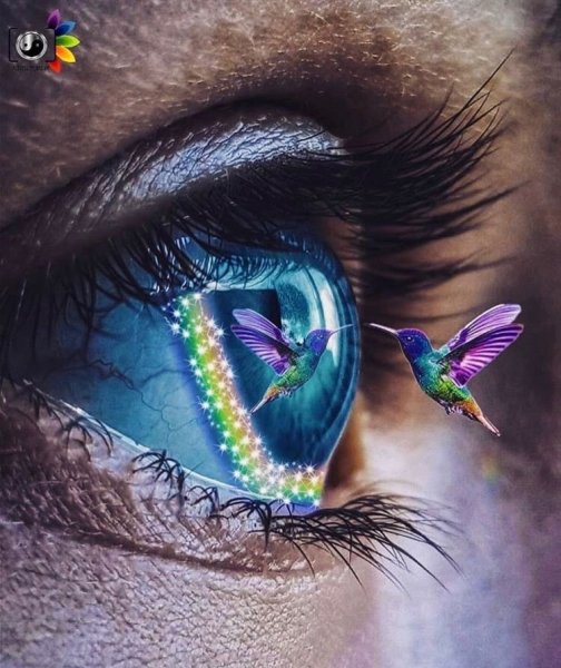 Глаза с красивыми отражениями